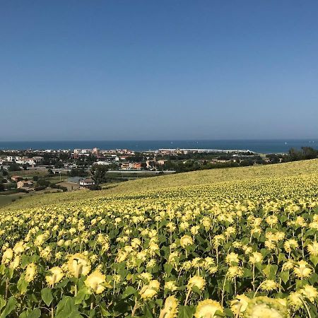 Agricampeggio Abbruzzetti Marina Palmense Bagian luar foto