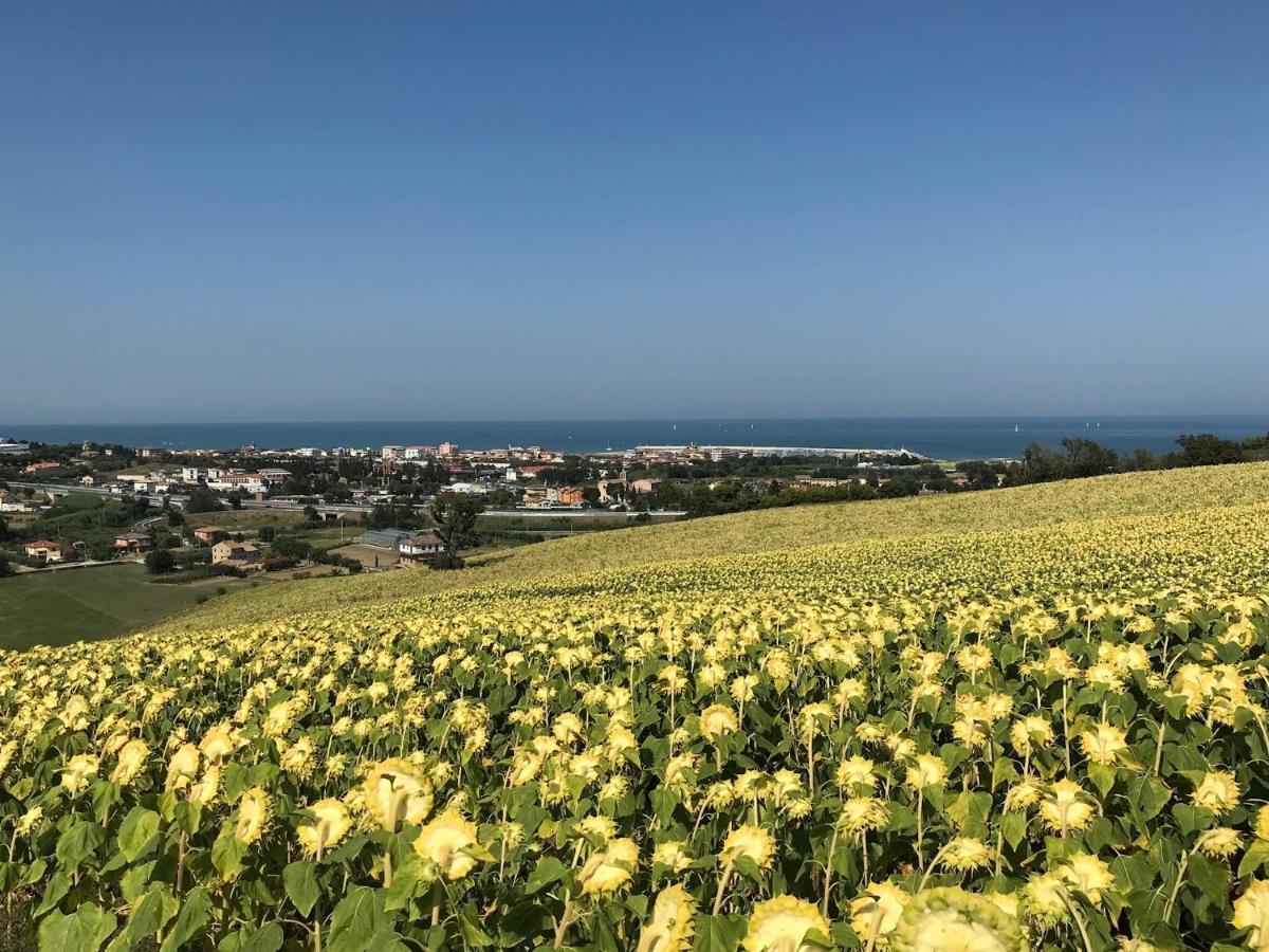 Agricampeggio Abbruzzetti Marina Palmense Bagian luar foto